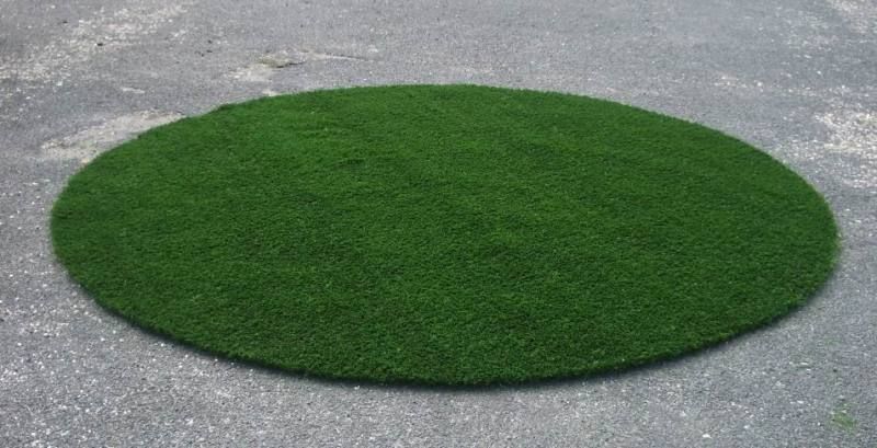 Foot Circle Artificial Grass Synthetic Lawn Dog Turf  